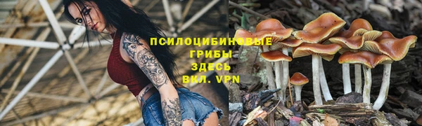 амф Алексин