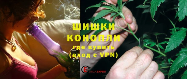 амф Алексин